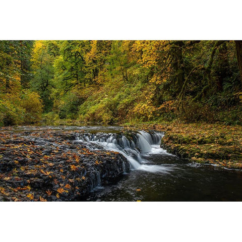 USA-Oregon-Silver Falls State Park Waterfalls and forest in autumn Black Modern Wood Framed Art Print with Double Matting by Jaynes Gallery