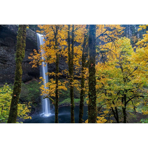 USA-Oregon-Silver Falls State Park Tall waterfall and forest in autumn Black Modern Wood Framed Art Print by Jaynes Gallery
