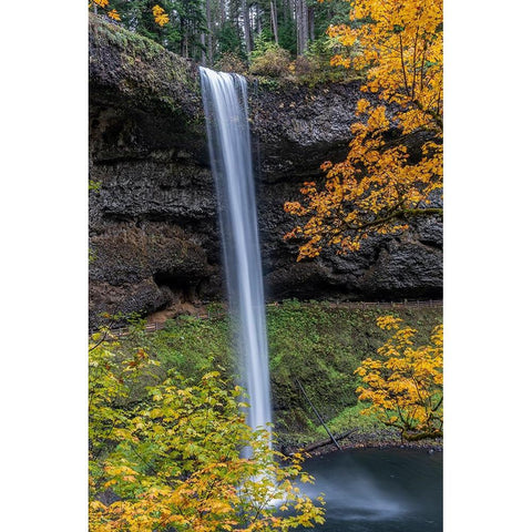 USA-Oregon-Silver Falls State Park Tall waterfall and forest in autumn Black Modern Wood Framed Art Print by Jaynes Gallery