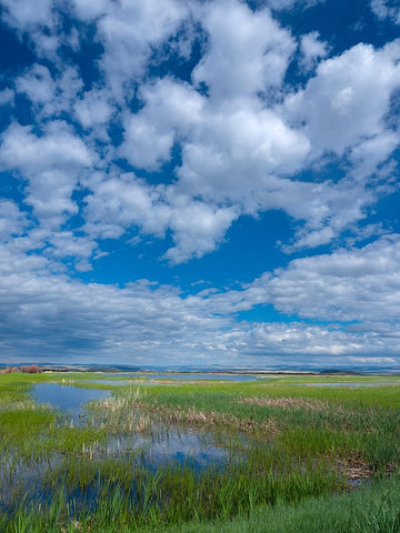 Malheur National Wildlife Refuge Black Modern Wood Framed Art Print by Sederquist, Betty