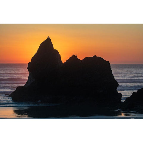 Humbug Point at sunset near Cannon Beach-Oregon-USA Black Modern Wood Framed Art Print by Haney, Chuck