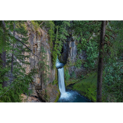 Toketee Falls runs over basalt columns in the Umpqua National Forest-Oregon-USA Black Modern Wood Framed Art Print by Haney, Chuck