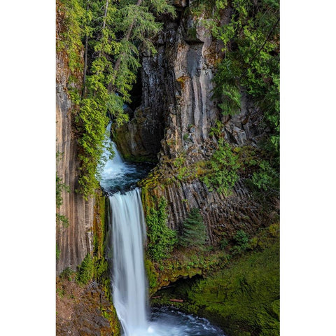 Toketee Falls runs over basalt columns in the Umpqua National Forest-Oregon-USA Gold Ornate Wood Framed Art Print with Double Matting by Haney, Chuck