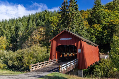 Chitwood Covered Bridge over the Yaquina River in Lincoln County-Oregon-USA Black Ornate Wood Framed Art Print with Double Matting by Haney, Chuck