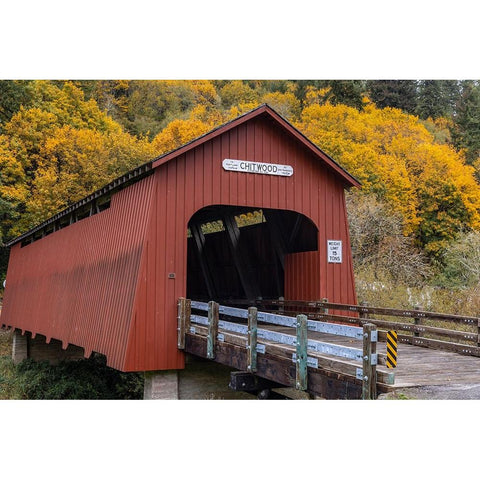Chitwood Covered Bridge in autumn in Lincoln County-Oregon-USA Black Modern Wood Framed Art Print with Double Matting by Haney, Chuck