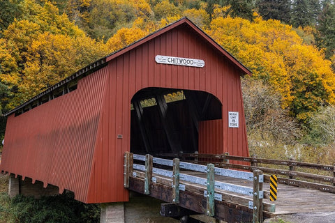 Chitwood Covered Bridge in autumn in Lincoln County-Oregon-USA White Modern Wood Framed Art Print with Double Matting by Haney, Chuck