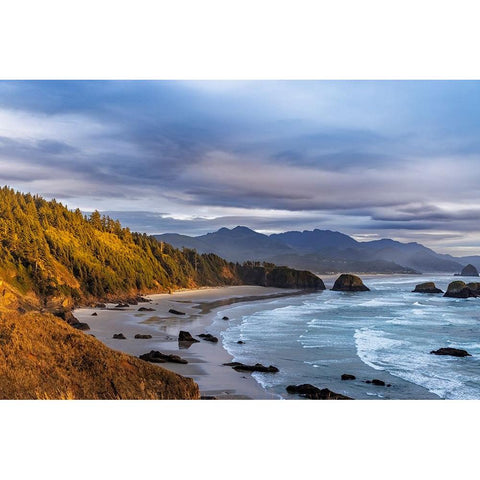 Crescent Beach at Ecola State Park in Cannon Beach-Oregon-USA Gold Ornate Wood Framed Art Print with Double Matting by Haney, Chuck