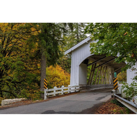 Hannah Covered Bridge spans Thomas Creek in Linn County-Oregon-USA Gold Ornate Wood Framed Art Print with Double Matting by Haney, Chuck