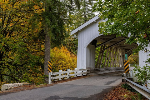 Hannah Covered Bridge spans Thomas Creek in Linn County-Oregon-USA White Modern Wood Framed Art Print with Double Matting by Haney, Chuck