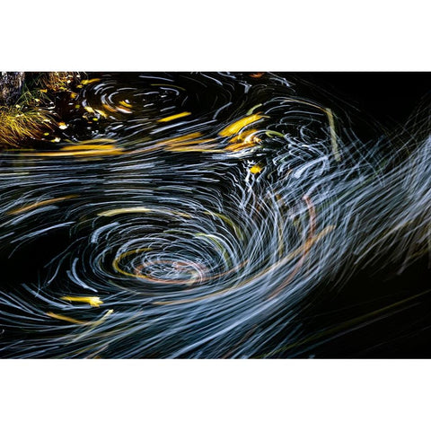 Eddy forms swirling patterns in the Nehalem River in autumn in the Tillamook State Forest-Oregon-USA Gold Ornate Wood Framed Art Print with Double Matting by Haney, Chuck