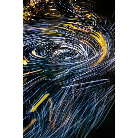 Eddy forms swirling patterns in the Nehalem River in autumn in the Tillamook State Forest-Oregon-USA Gold Ornate Wood Framed Art Print with Double Matting by Haney, Chuck