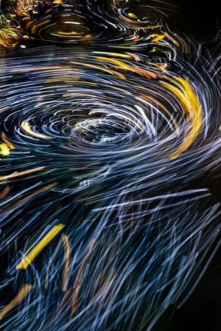 Eddy forms swirling patterns in the Nehalem River in autumn in the Tillamook State Forest-Oregon-USA White Modern Wood Framed Art Print with Double Matting by Haney, Chuck