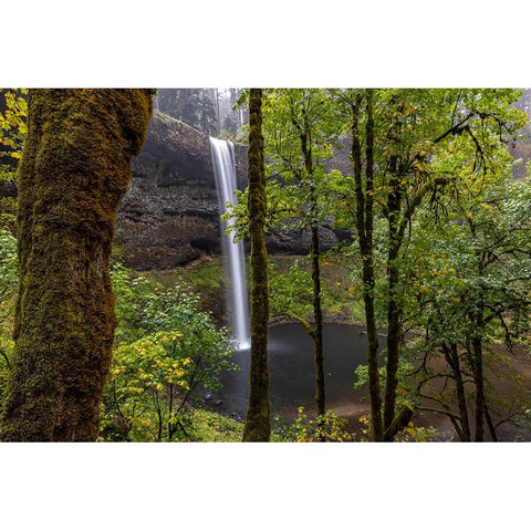South Falls at Silver Falls State Park near Sublimity-Oregon-USA Black Modern Wood Framed Art Print by Haney, Chuck