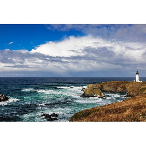 Yaquina Head Lighthouse in Newport-Oregon-USA Black Modern Wood Framed Art Print by Haney, Chuck