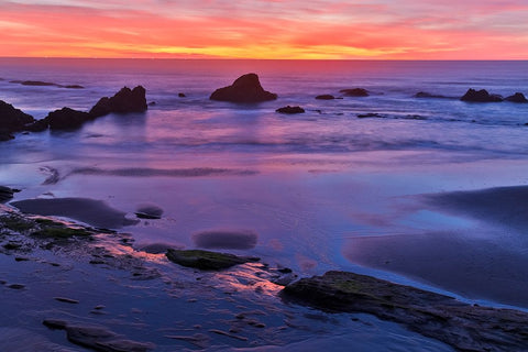 USA- Oregon. Seal Rock State Recreation Site sunset at low tide Black Ornate Wood Framed Art Print with Double Matting by Gulin, Darrell