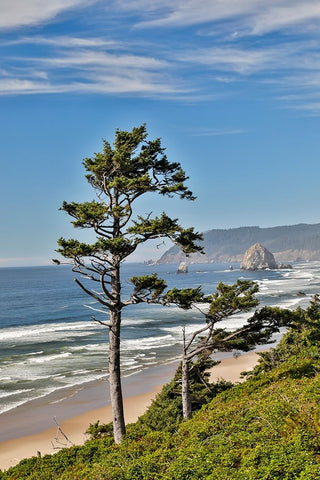 USA- Oregon. Cannon Beach with Haystack Black Ornate Wood Framed Art Print with Double Matting by Gulin, Darrell
