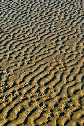 USA- Oregon. Cannon Beach low tide and ripples in the sand. Black Modern Wood Framed Art Print by Gulin, Darrell
