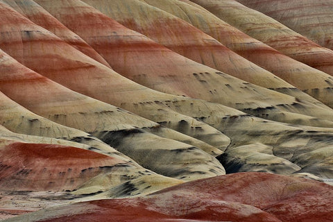 USA- Oregon. John Day Fossil Beds National Monument badlands landscape. Black Ornate Wood Framed Art Print with Double Matting by Gulin, Darrell