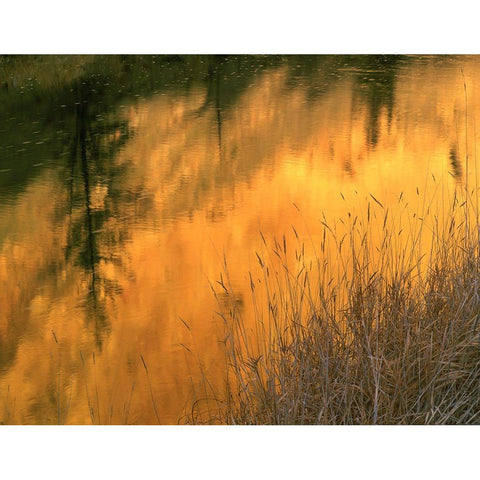 USA-Oregon-Abstract of Crooked River-Smith Rock State Park Black Modern Wood Framed Art Print by Garber, Howie