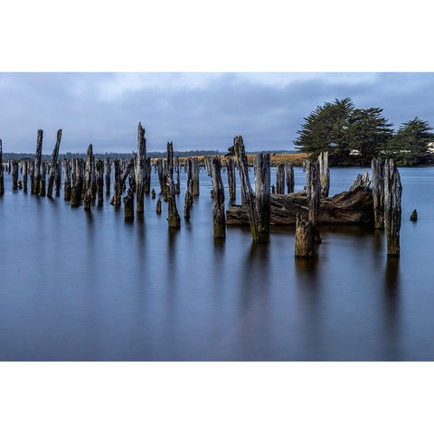 Usa-Oregon-Bandon Bandon Pier-Long Exposure Black Modern Wood Framed Art Print with Double Matting by Looney, Hollice