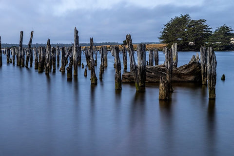 Usa-Oregon-Bandon Bandon Pier-Long Exposure White Modern Wood Framed Art Print with Double Matting by Looney, Hollice