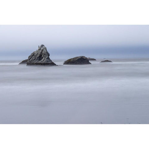 Usa-Oregon-Bandon Bandon Beach White Modern Wood Framed Art Print by Looney, Hollice