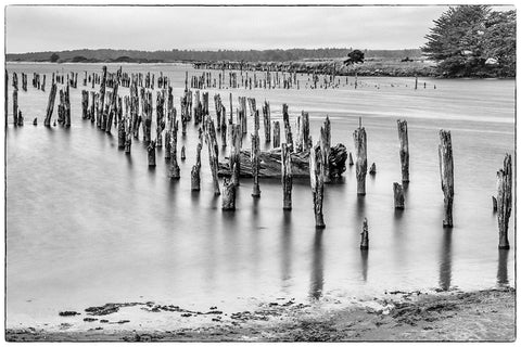 Usa-Oregon-Bandon Bandon Pier-Long Exposure White Modern Wood Framed Art Print with Double Matting by Looney, Hollice