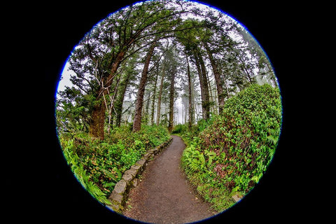 Usa-Oregon-Yachats Cape Perpetua Black Ornate Wood Framed Art Print with Double Matting by Looney, Hollice
