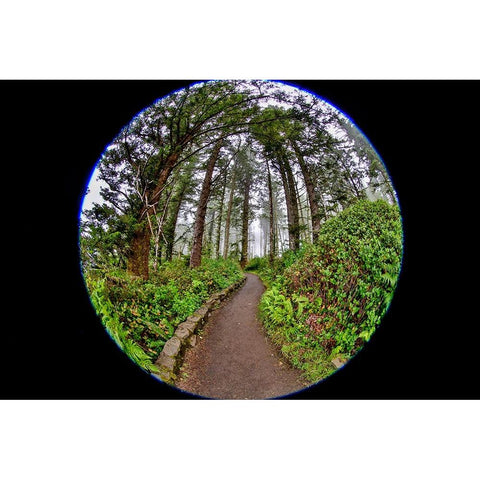 Usa-Oregon-Yachats Cape Perpetua White Modern Wood Framed Art Print by Looney, Hollice