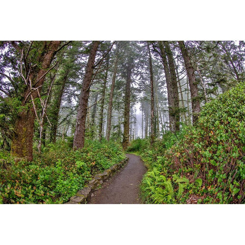 Usa-Oregon-Yachats Cape Perpetua Black Modern Wood Framed Art Print by Looney, Hollice