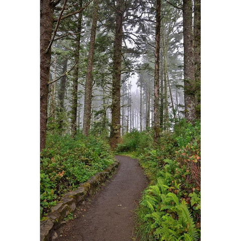 Usa-Oregon-Yachats Cape Perpetua Black Modern Wood Framed Art Print with Double Matting by Looney, Hollice