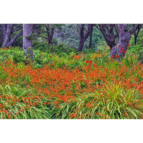 Usa-Oregon-Yachats Plantings Gold Ornate Wood Framed Art Print with Double Matting by Looney, Hollice