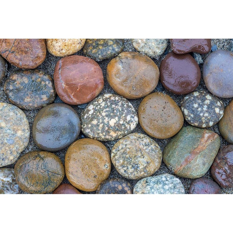 Usa-Oregon-Bandon Bandon Beach-Closeup of Rocks Gathered on the Beach White Modern Wood Framed Art Print by Looney, Hollice