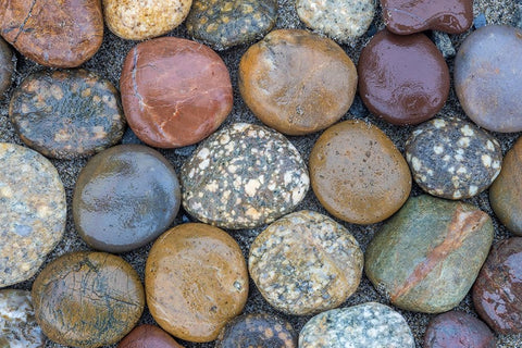 Usa-Oregon-Bandon Bandon Beach-Closeup of Rocks Gathered on the Beach White Modern Wood Framed Art Print with Double Matting by Looney, Hollice