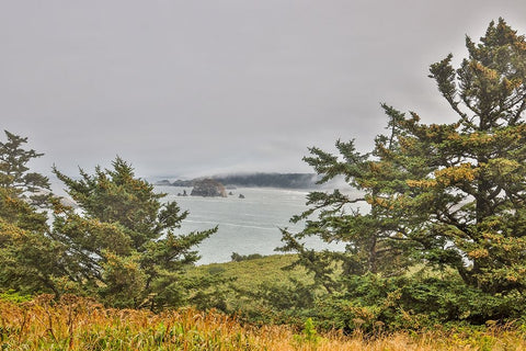 Usa-Oregon-Port Orford Cape Blanco Lighthouse-Coast Near Cape Blanco Lighthouse Black Ornate Wood Framed Art Print with Double Matting by Looney, Hollice