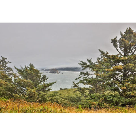 Usa-Oregon-Port Orford Cape Blanco Lighthouse-Coast Near Cape Blanco Lighthouse Black Modern Wood Framed Art Print by Looney, Hollice