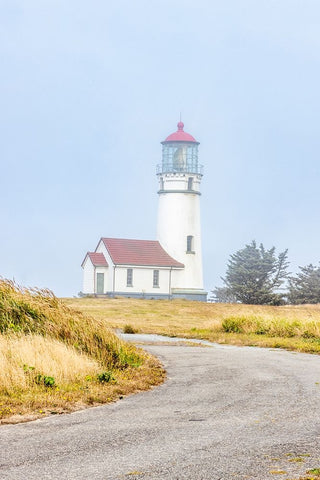 Usa-Oregon-Port Orford Cape Blanco Lighthouse on a Foggy Morning Black Ornate Wood Framed Art Print with Double Matting by Looney, Hollice