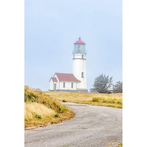 Usa-Oregon-Port Orford Cape Blanco Lighthouse on a Foggy Morning Black Modern Wood Framed Art Print by Looney, Hollice