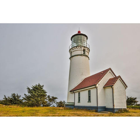 Usa-Oregon-Port Orford Cape Blanco Lighthouse on a Foggy Morning Black Modern Wood Framed Art Print with Double Matting by Looney, Hollice
