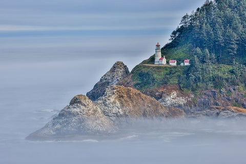 Usa-Oregon-Florence Heceta Head Lighthouse Black Ornate Wood Framed Art Print with Double Matting by Looney, Hollice