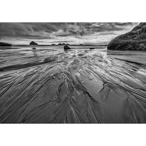 Bandon Beach-Oregon Gold Ornate Wood Framed Art Print with Double Matting by Ford, John