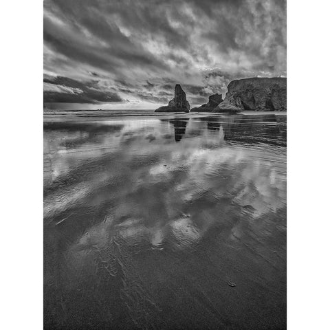 Bandon Beach-Oregon Gold Ornate Wood Framed Art Print with Double Matting by Ford, John