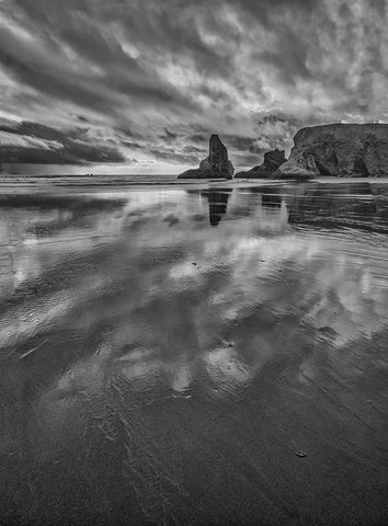 Bandon Beach-Oregon Black Ornate Wood Framed Art Print with Double Matting by Ford, John