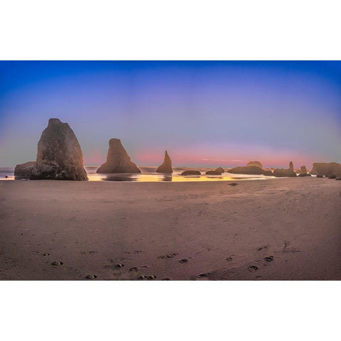 Bandon Beach-Oregon Black Modern Wood Framed Art Print by Ford, John
