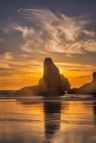 Bandon Beach-Oregon Black Ornate Wood Framed Art Print with Double Matting by Ford, John