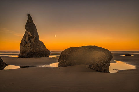Bandon Beach-Oregon Black Ornate Wood Framed Art Print with Double Matting by Ford, John