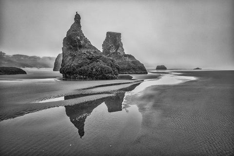 Bandon Beach-Oregon Black Ornate Wood Framed Art Print with Double Matting by Ford, John