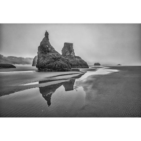 Bandon Beach-Oregon Gold Ornate Wood Framed Art Print with Double Matting by Ford, John
