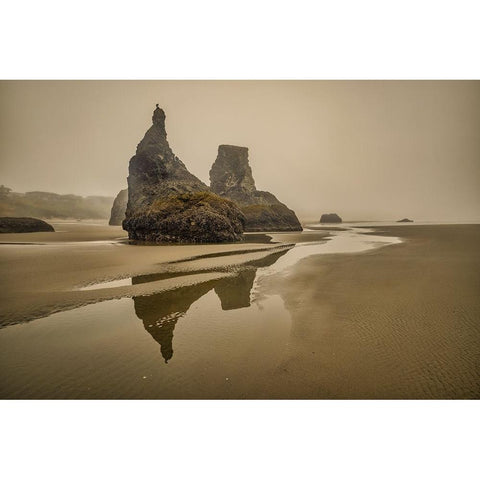 Bandon Beach-Oregon White Modern Wood Framed Art Print by Ford, John