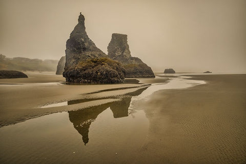 Bandon Beach-Oregon White Modern Wood Framed Art Print with Double Matting by Ford, John